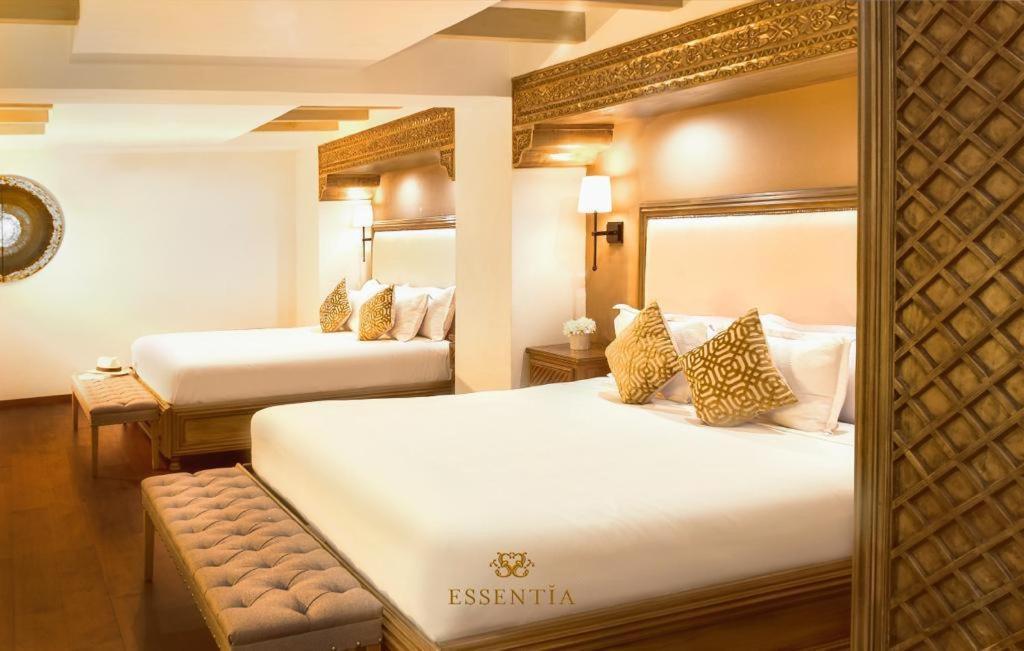 The Essentia Hotel San Miguel San Miguel de Allende Exteriér fotografie
