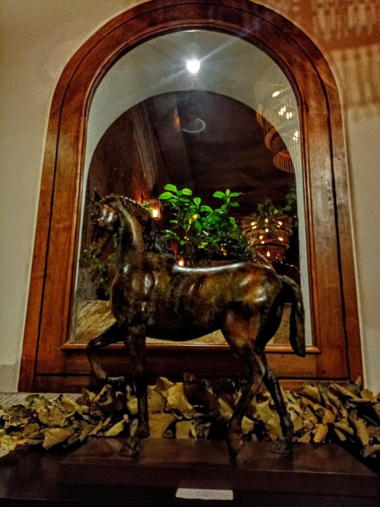 The Essentia Hotel San Miguel San Miguel de Allende Exteriér fotografie