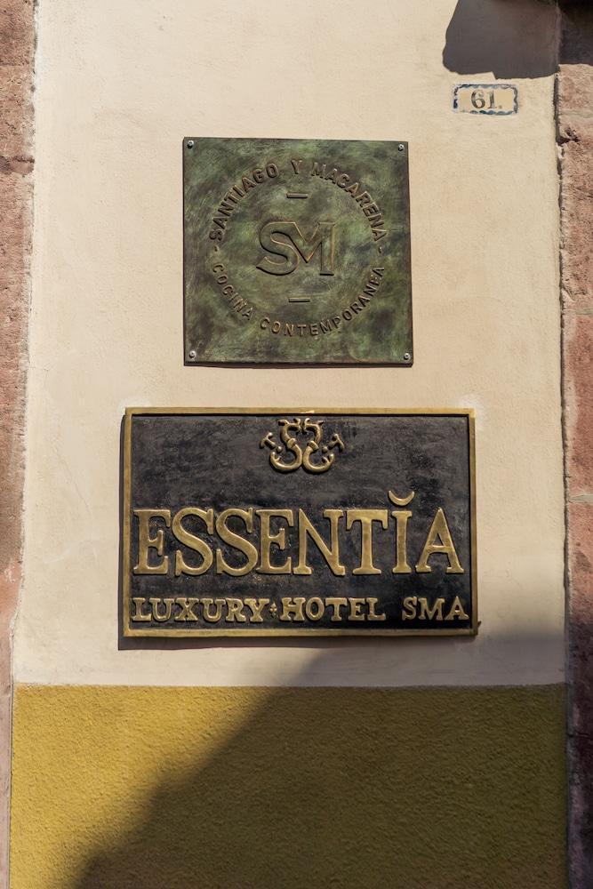 The Essentia Hotel San Miguel San Miguel de Allende Exteriér fotografie